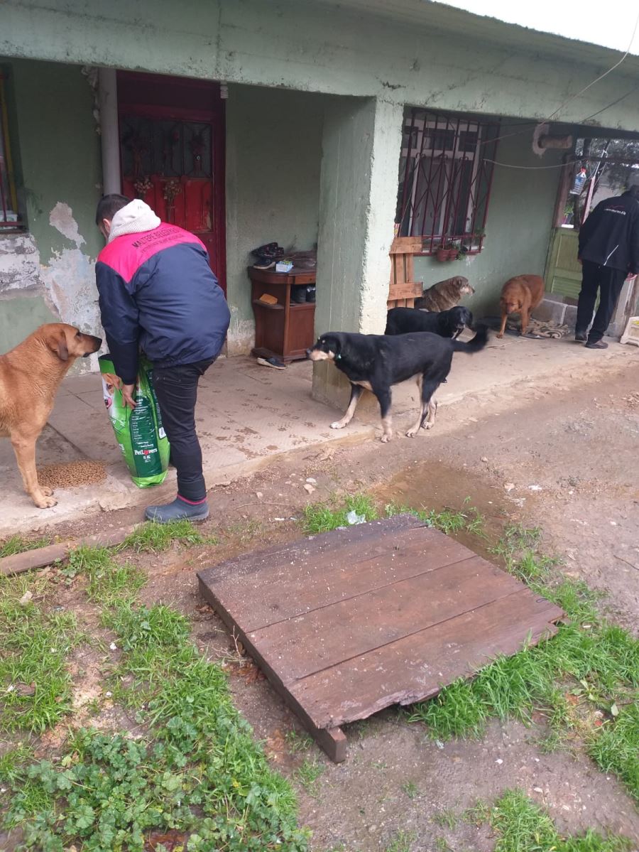 MALTEPE BELEDİYESİ SOKAKTAKİ CAN DOSTLARIMIZI UNUTMADI