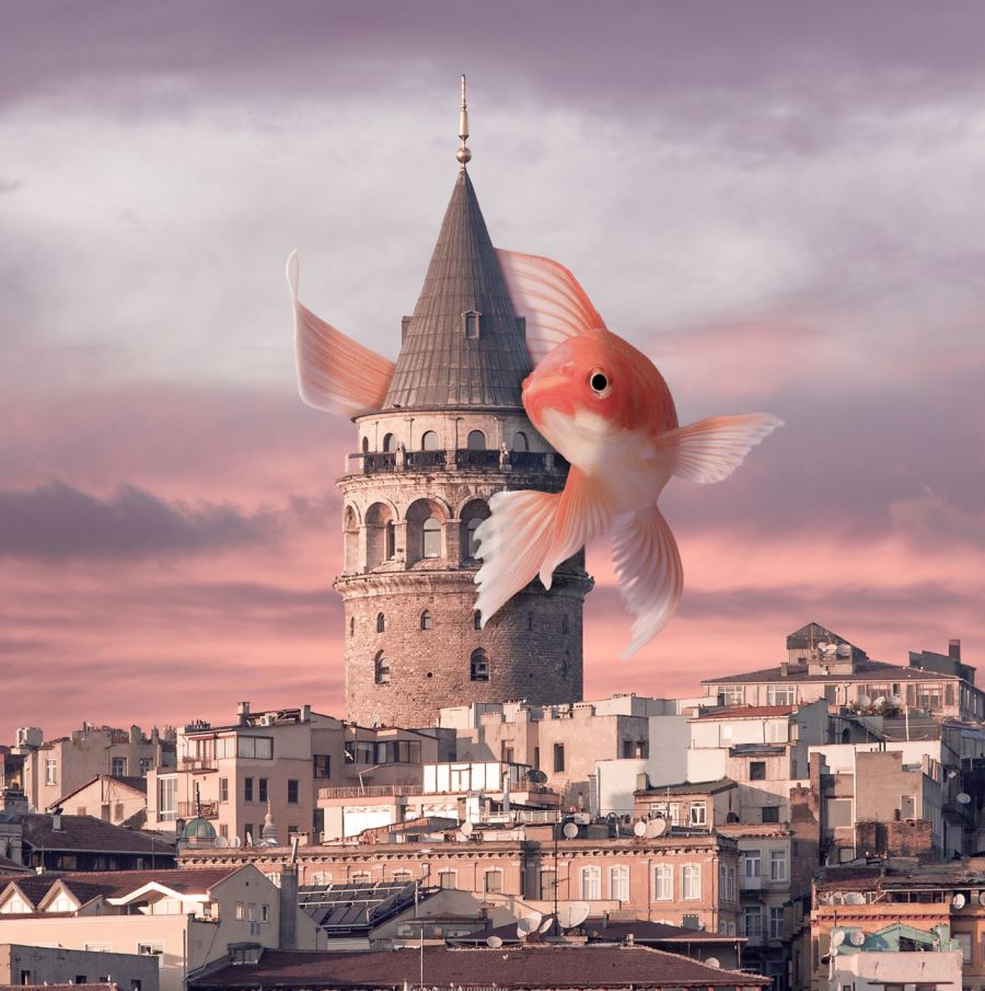 “FOTO MANİPÜLASYON” SERGİSİ AÇILDI