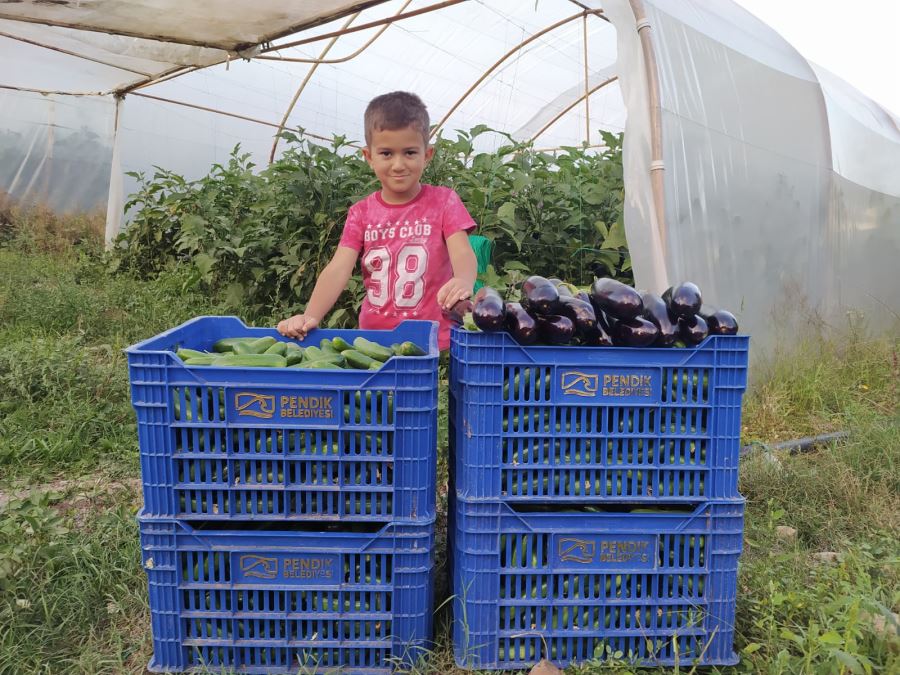 FİDELER SEBZELERİNİ VERDİ